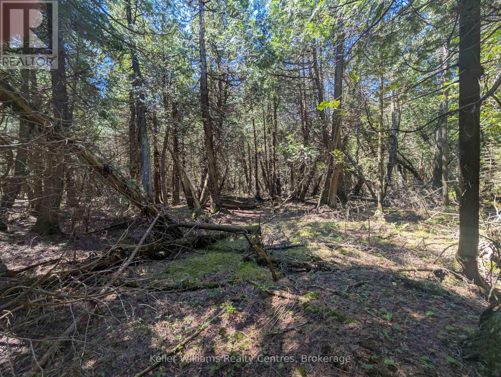 Pt Lt 56 Con 4 Cape Hurd Road, Northern Bruce Peninsula, Ontario  N0H 2R0 - Photo 27 - X12250745