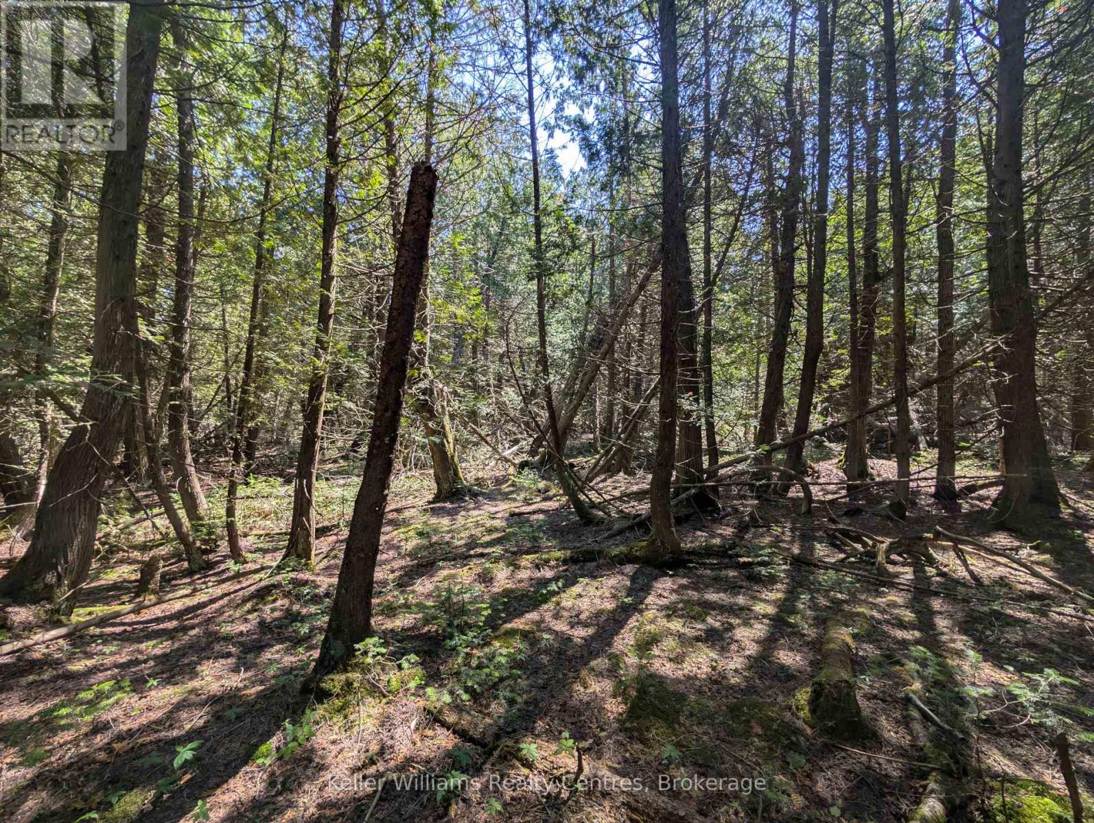 Pt Lt 56 Con 4 Cape Hurd Road, Northern Bruce Peninsula, Ontario  N0H 2R0 - Photo 28 - X12250745