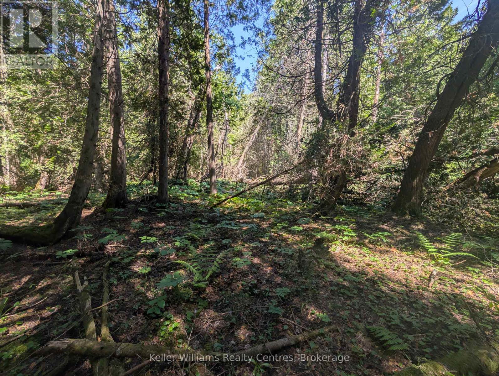 Pt Lt 56 Con 4 Cape Hurd Road, Northern Bruce Peninsula, Ontario  N0H 2R0 - Photo 29 - X12250745