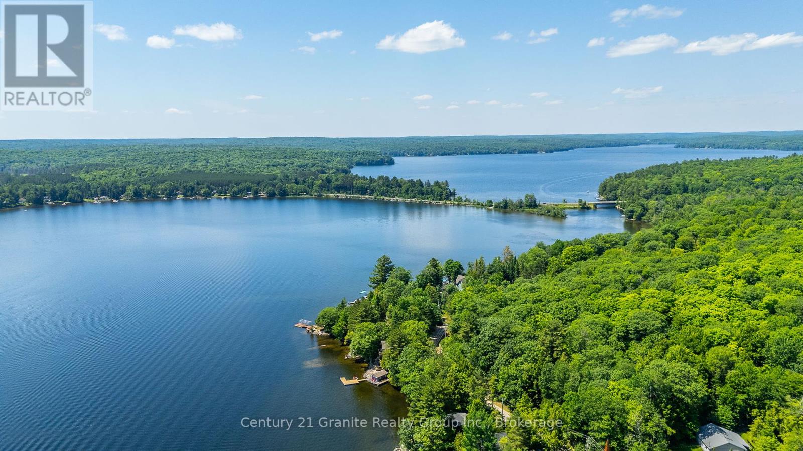 1025 Sage Drive, Minden Hills, Ontario  K0M 2K0 - Photo 48 - X12250847