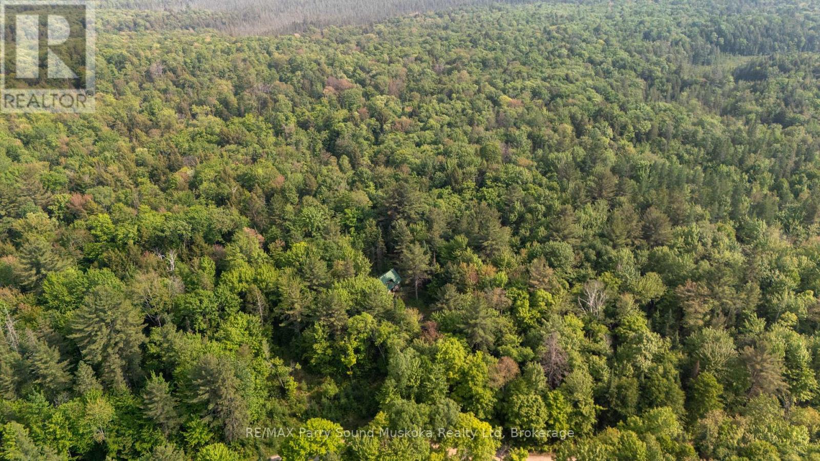 141 Middle Road, Mcmurrich/monteith, Ontario  P0A 1C0 - Photo 31 - X12251006