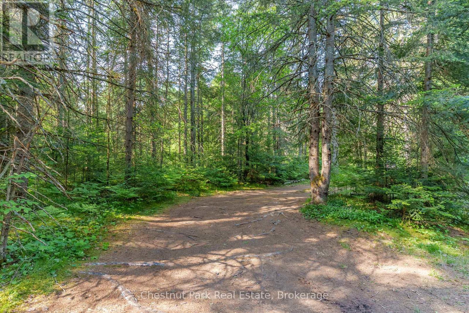 0 Kallio Road, Kearney, Ontario  P0A 1M0 - Photo 11 - X12252432