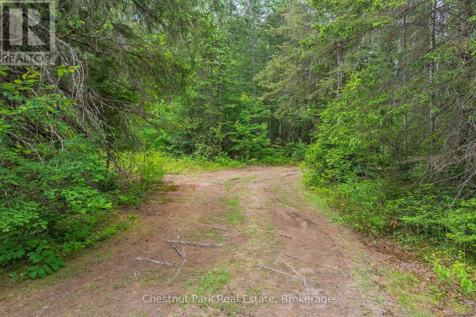 0 Kallio Road, Kearney, Ontario  P0A 1M0 - Photo 32 - X12252432
