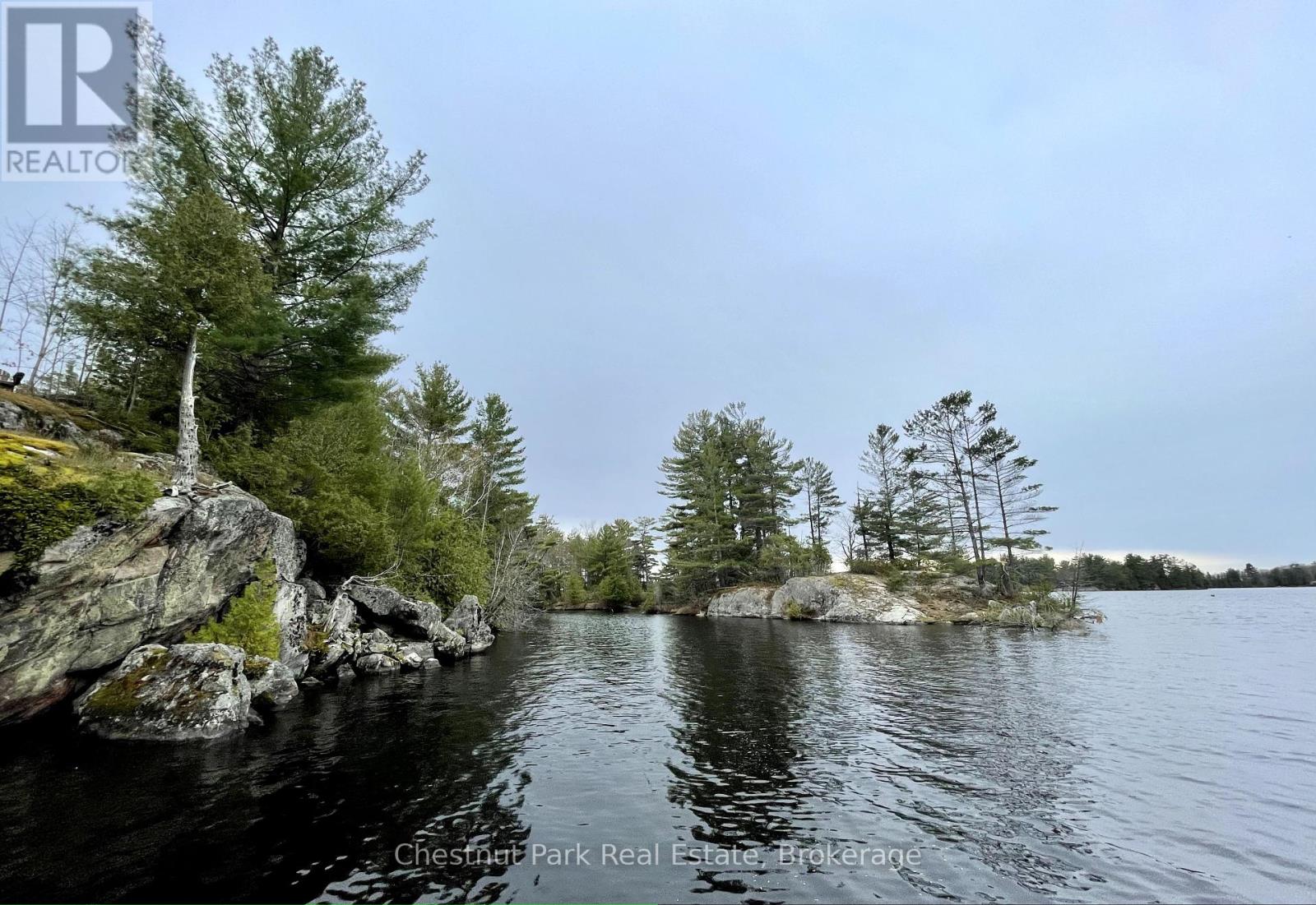 110 Fire Route 19 Route, Trent Lakes, Ontario  K0L 1J0 - Photo 7 - X12252561