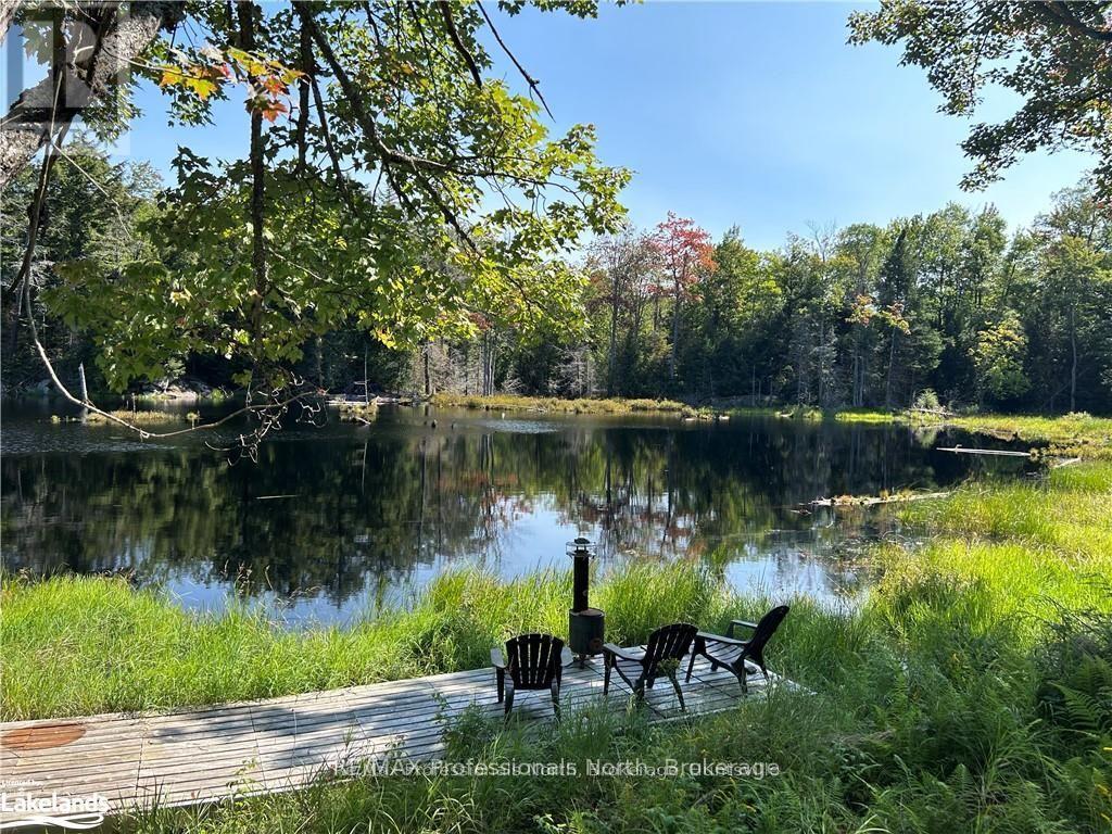 Lot 32 Concession 5, Bracebridge, Ontario  P1L 1X1 - Photo 1 - X12252925