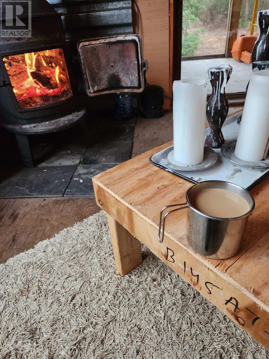 Lot 32 Concession 5, Bracebridge, Ontario  P1L 1X1 - Photo 11 - X12252925