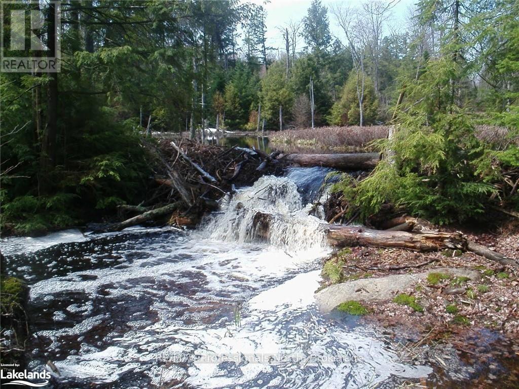 Lot 32 Concession 5, Bracebridge, Ontario  P1L 1X1 - Photo 18 - X12252925