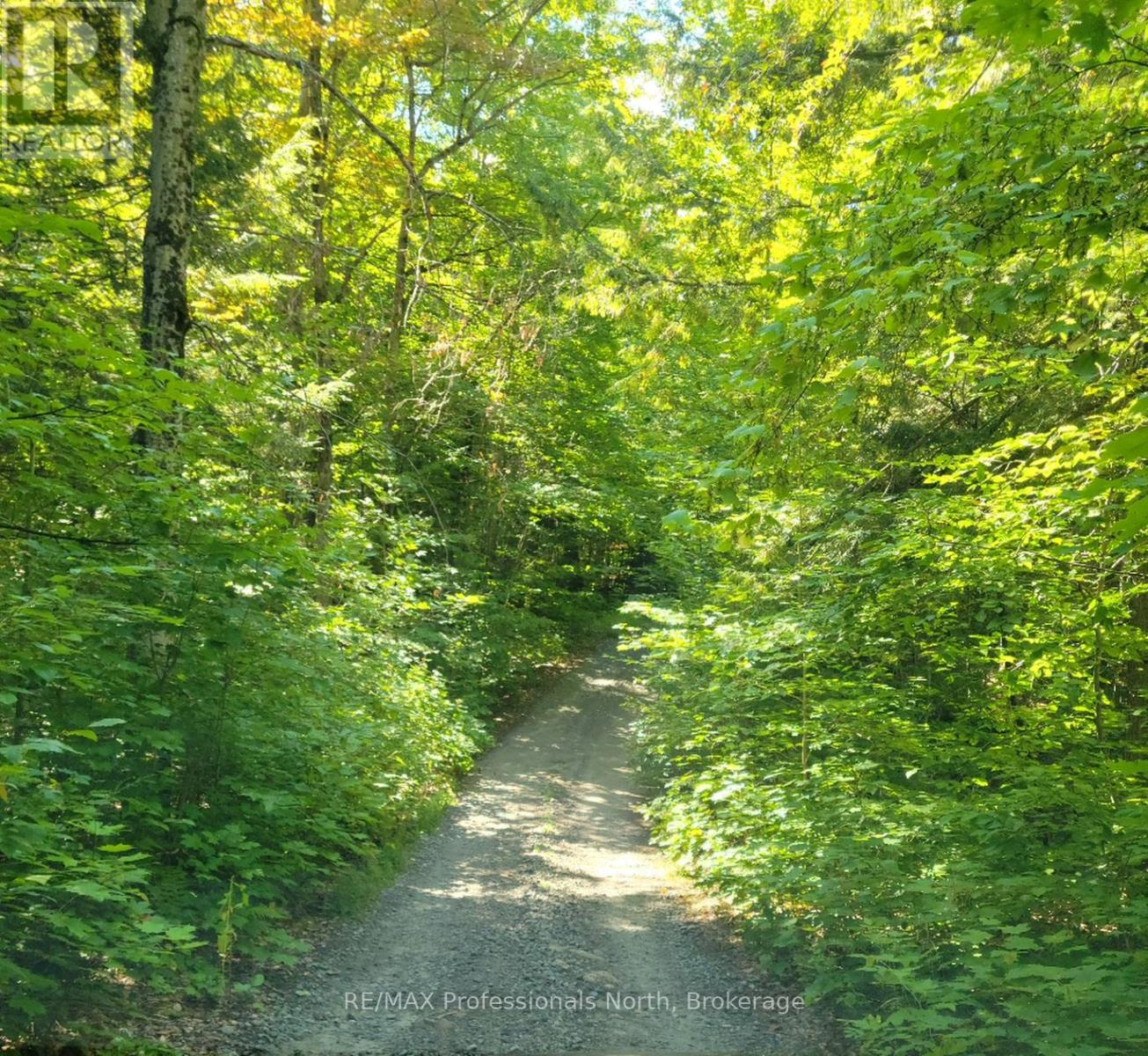 Lot 32 Concession 5, Bracebridge, Ontario  P1L 1X1 - Photo 20 - X12252925