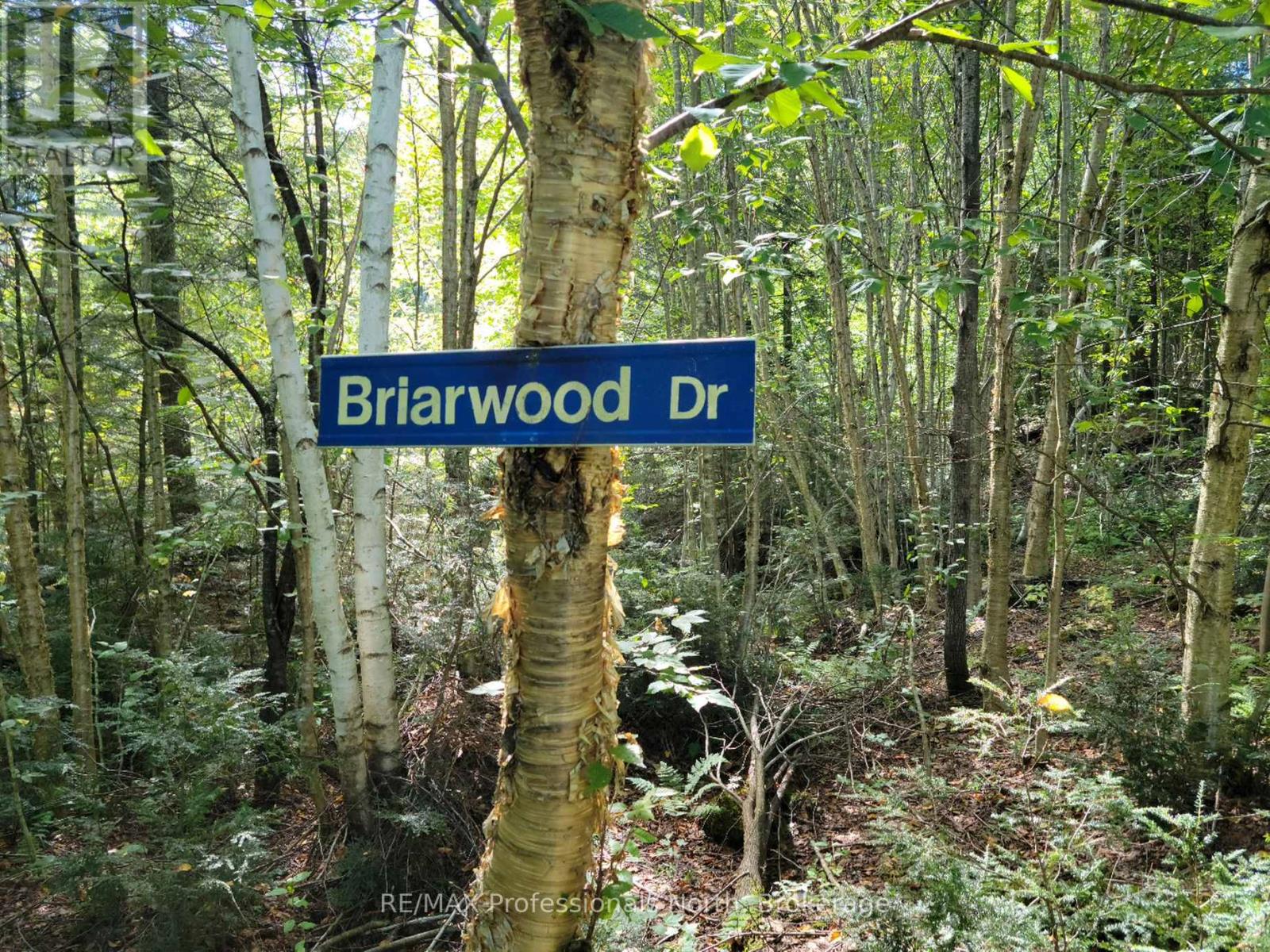 Lot 32 Concession 5, Bracebridge, Ontario  P1L 1X1 - Photo 21 - X12252925