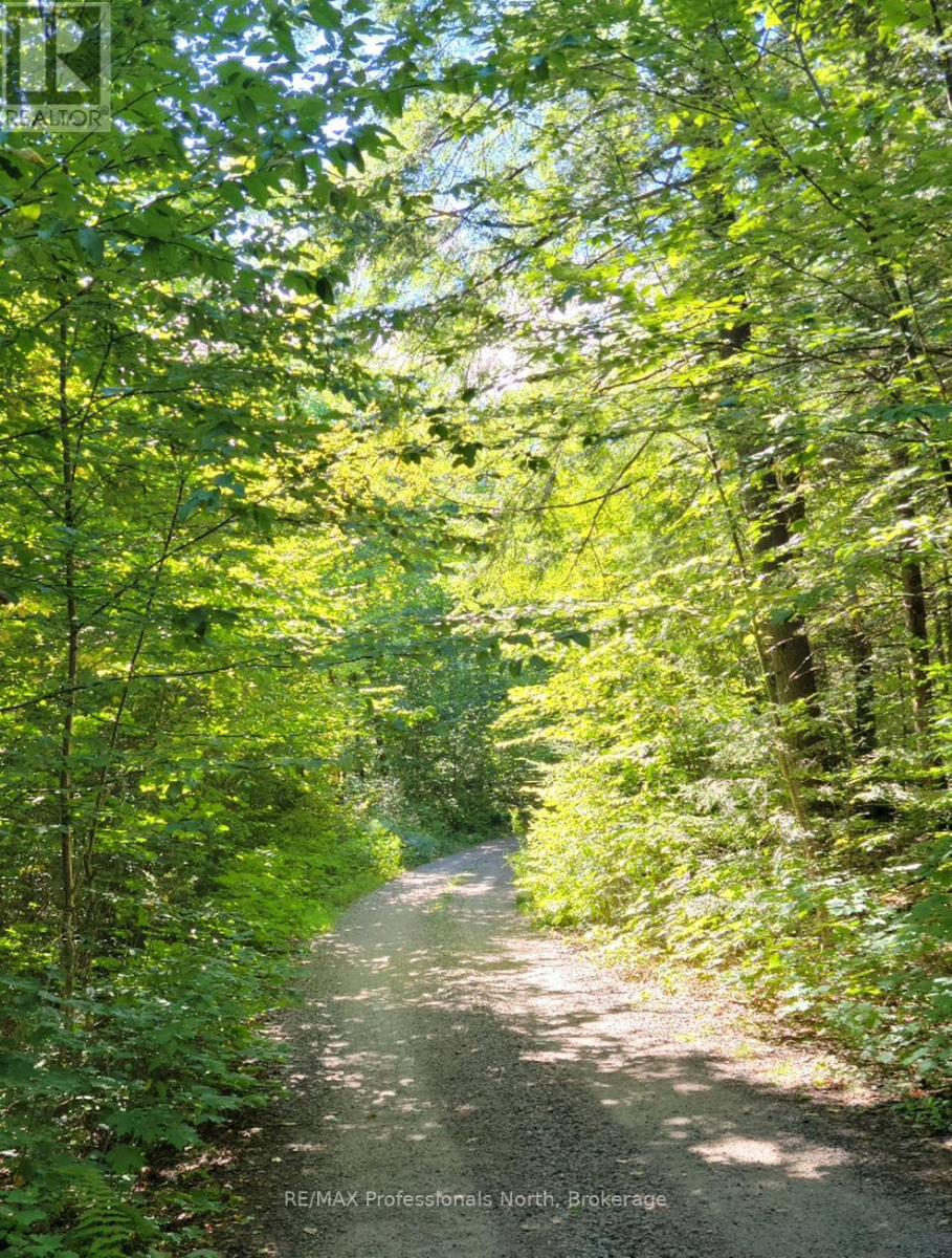 Lot 32 Concession 5, Bracebridge, Ontario  P1L 1X1 - Photo 22 - X12252925