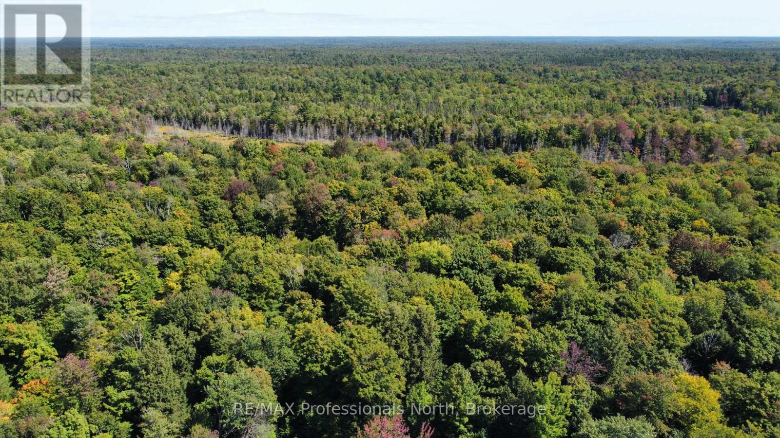 Lot 32 Concession 5, Bracebridge, Ontario  P1L 1X1 - Photo 25 - X12252925