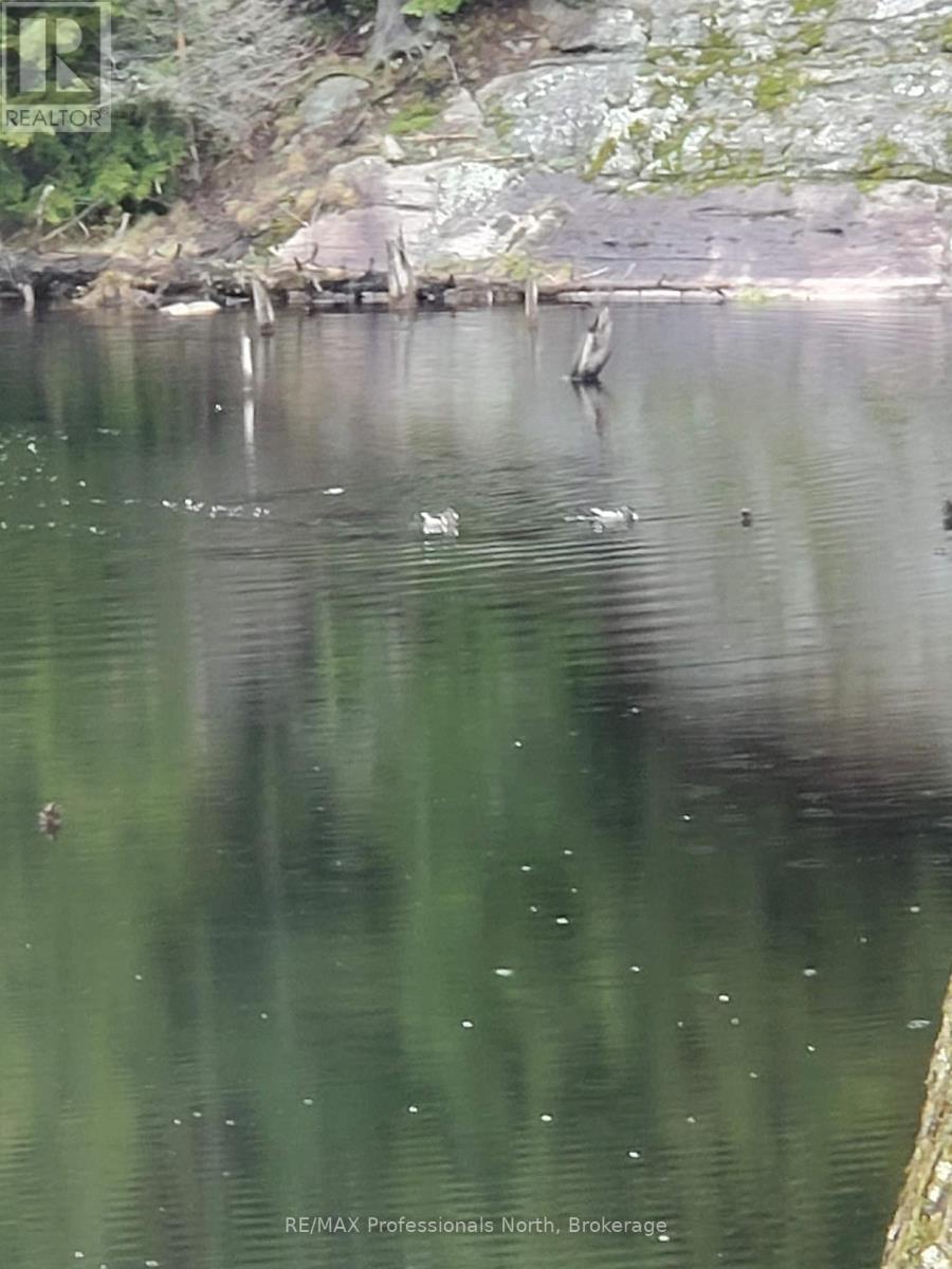 Lot 32 Concession 5, Bracebridge, Ontario  P1L 1X1 - Photo 37 - X12252925