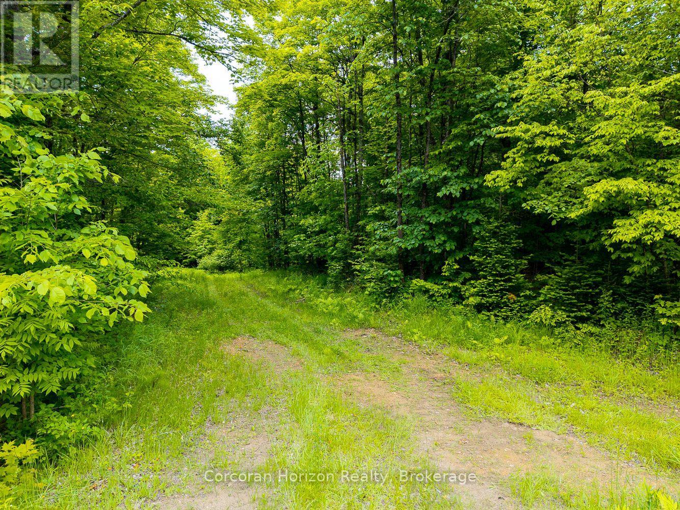 Part 4 118 Highway E, Bracebridge, Ontario  P1L 1X1 - Photo 28 - X12257540