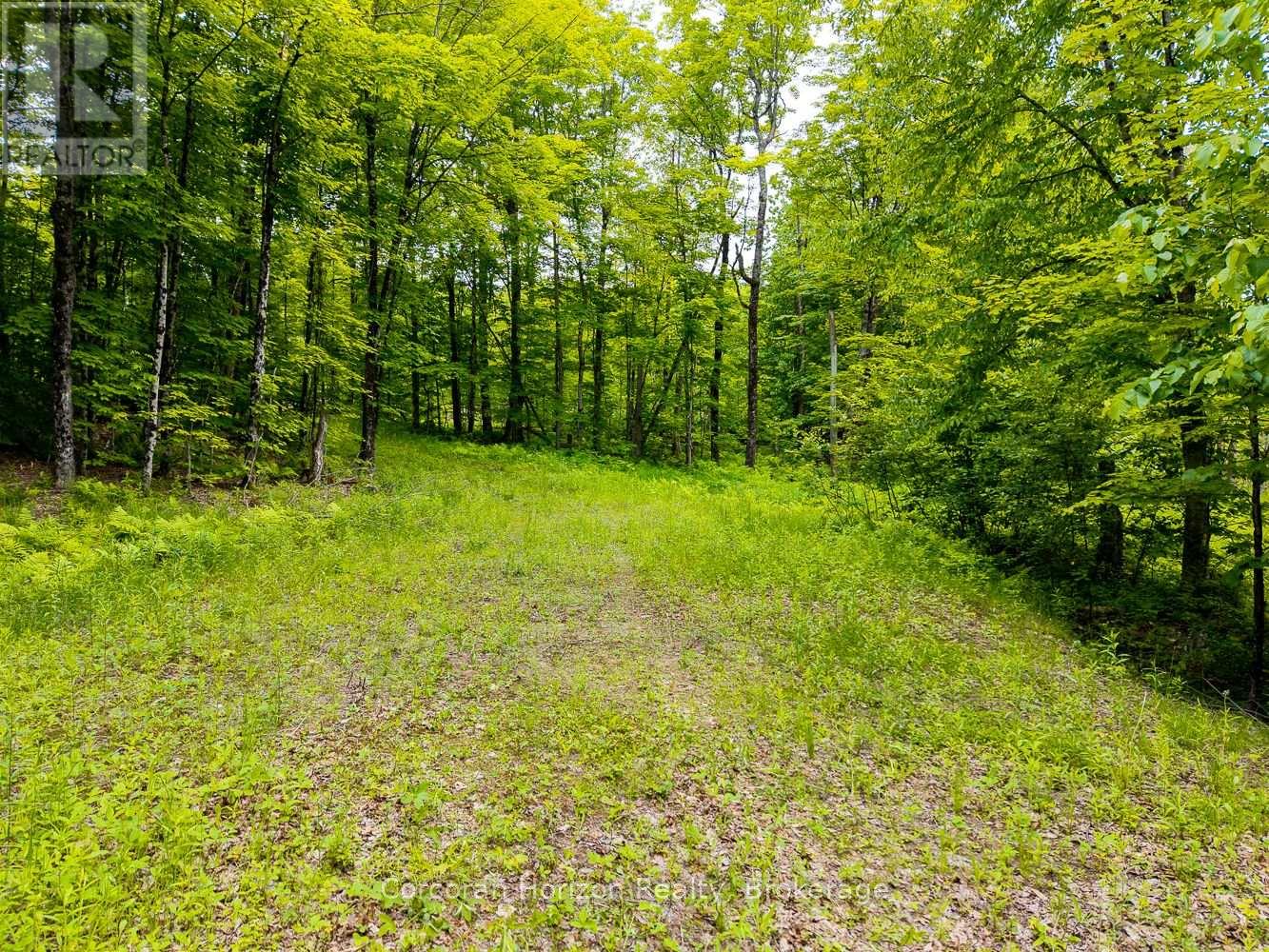 Part 4 118 Highway E, Bracebridge, Ontario  P1L 1X1 - Photo 32 - X12257540