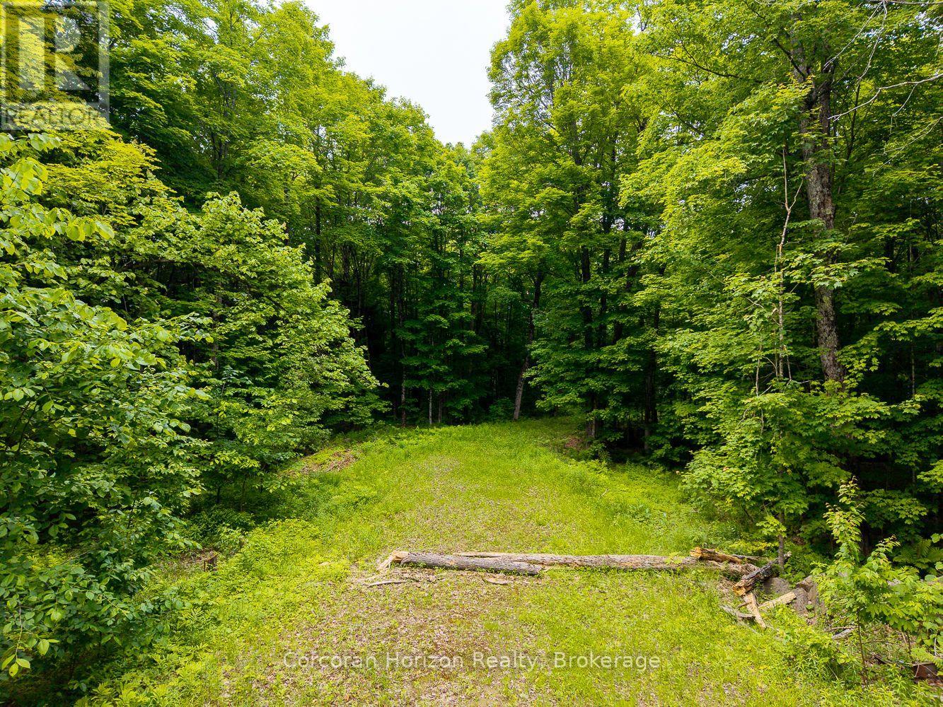 Part 4 118 Highway E, Bracebridge, Ontario  P1L 1X1 - Photo 34 - X12257540