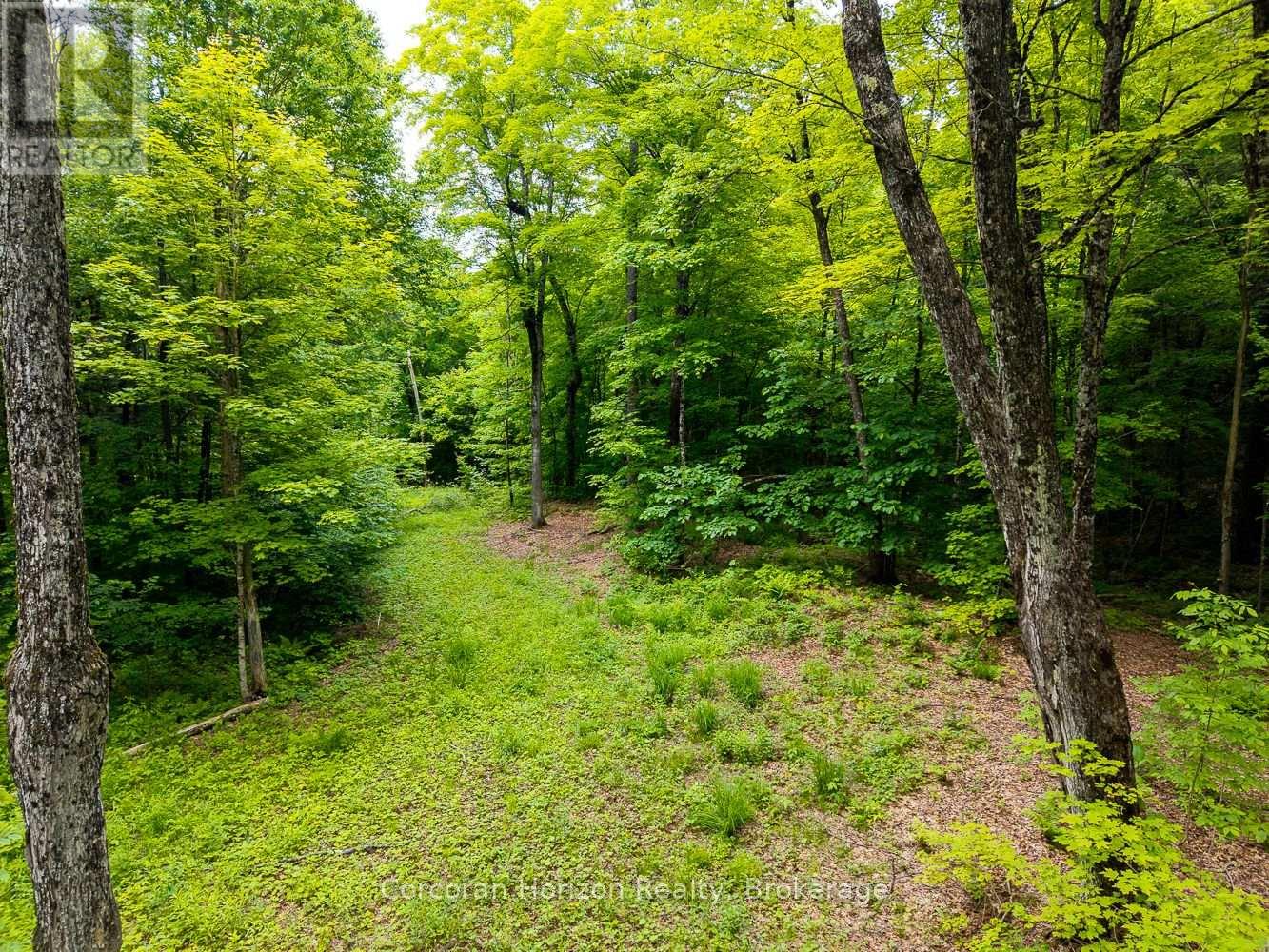 Part 4 118 Highway E, Bracebridge, Ontario  P1L 1X1 - Photo 39 - X12257540