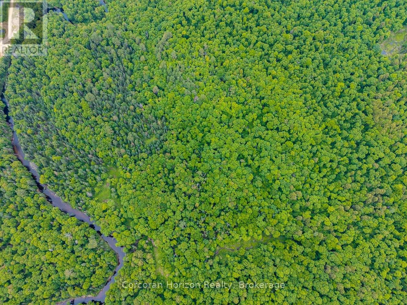 Part 4 118 Highway E, Bracebridge, Ontario  P1L 1X1 - Photo 4 - X12257540