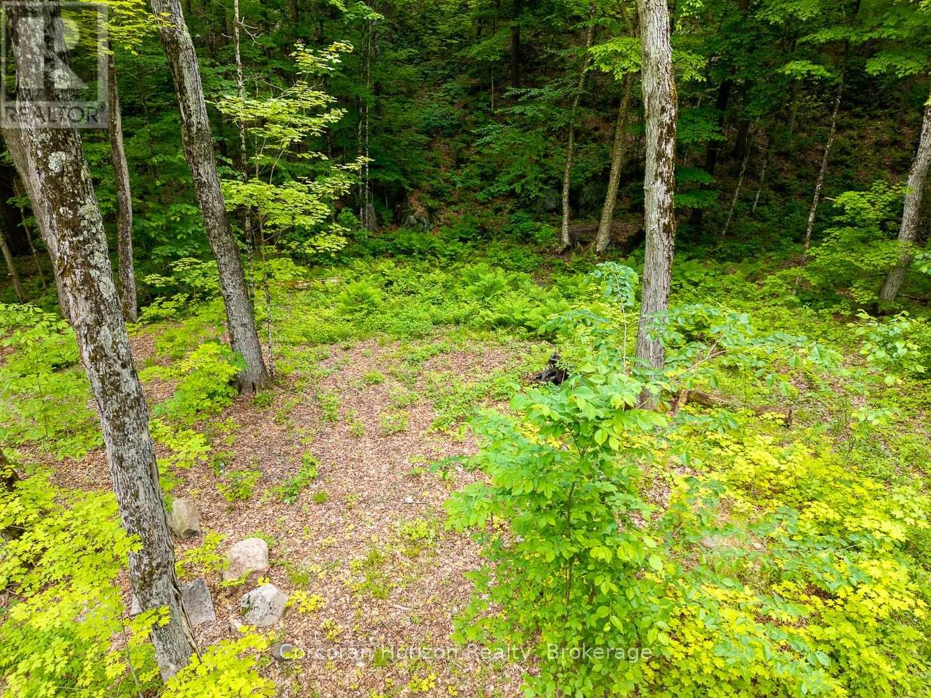 Part 4 118 Highway E, Bracebridge, Ontario  P1L 1X1 - Photo 40 - X12257540