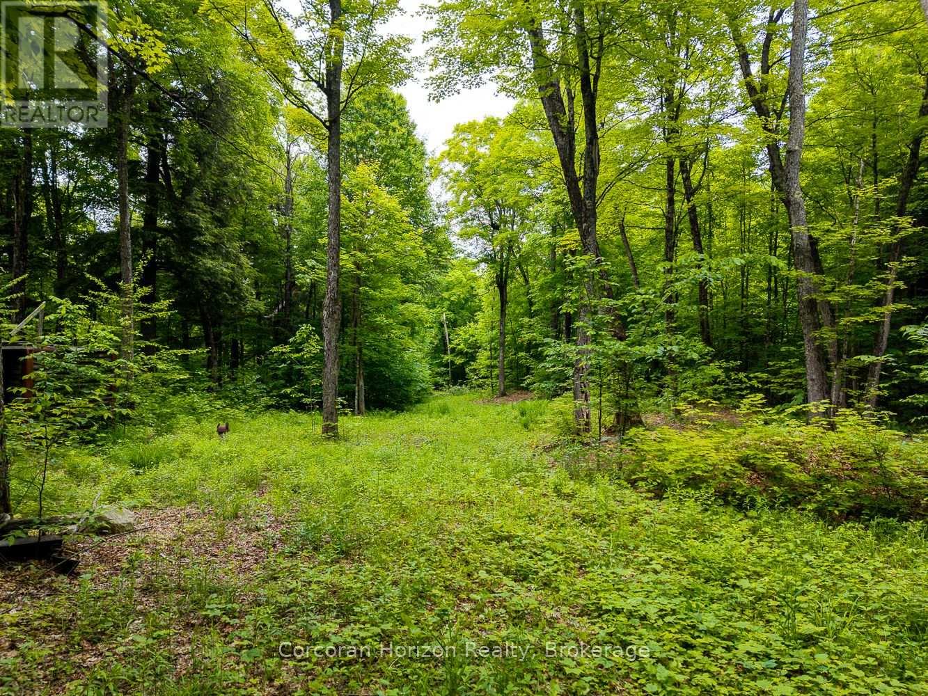 Part 4 118 Highway E, Bracebridge, Ontario  P1L 1X1 - Photo 41 - X12257540