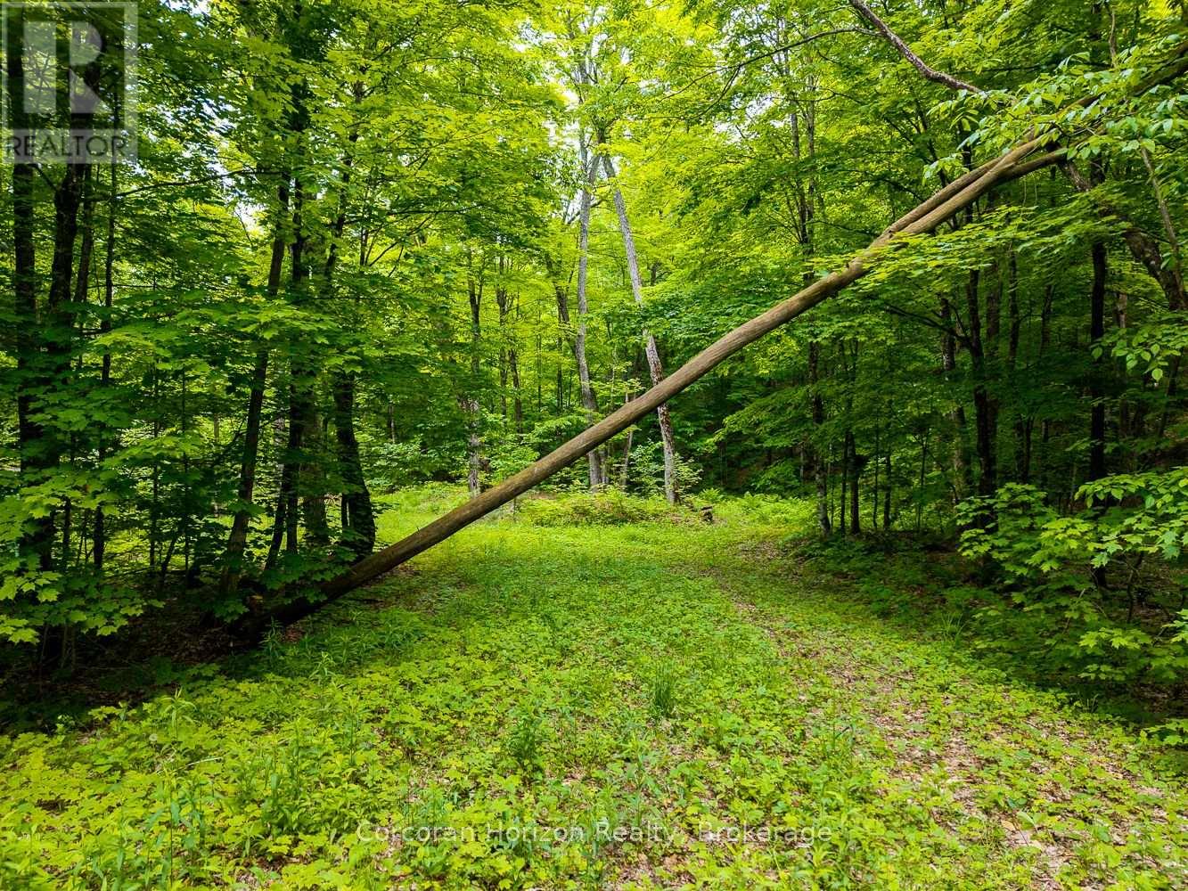 Part 4 118 Highway E, Bracebridge, Ontario  P1L 1X1 - Photo 43 - X12257540