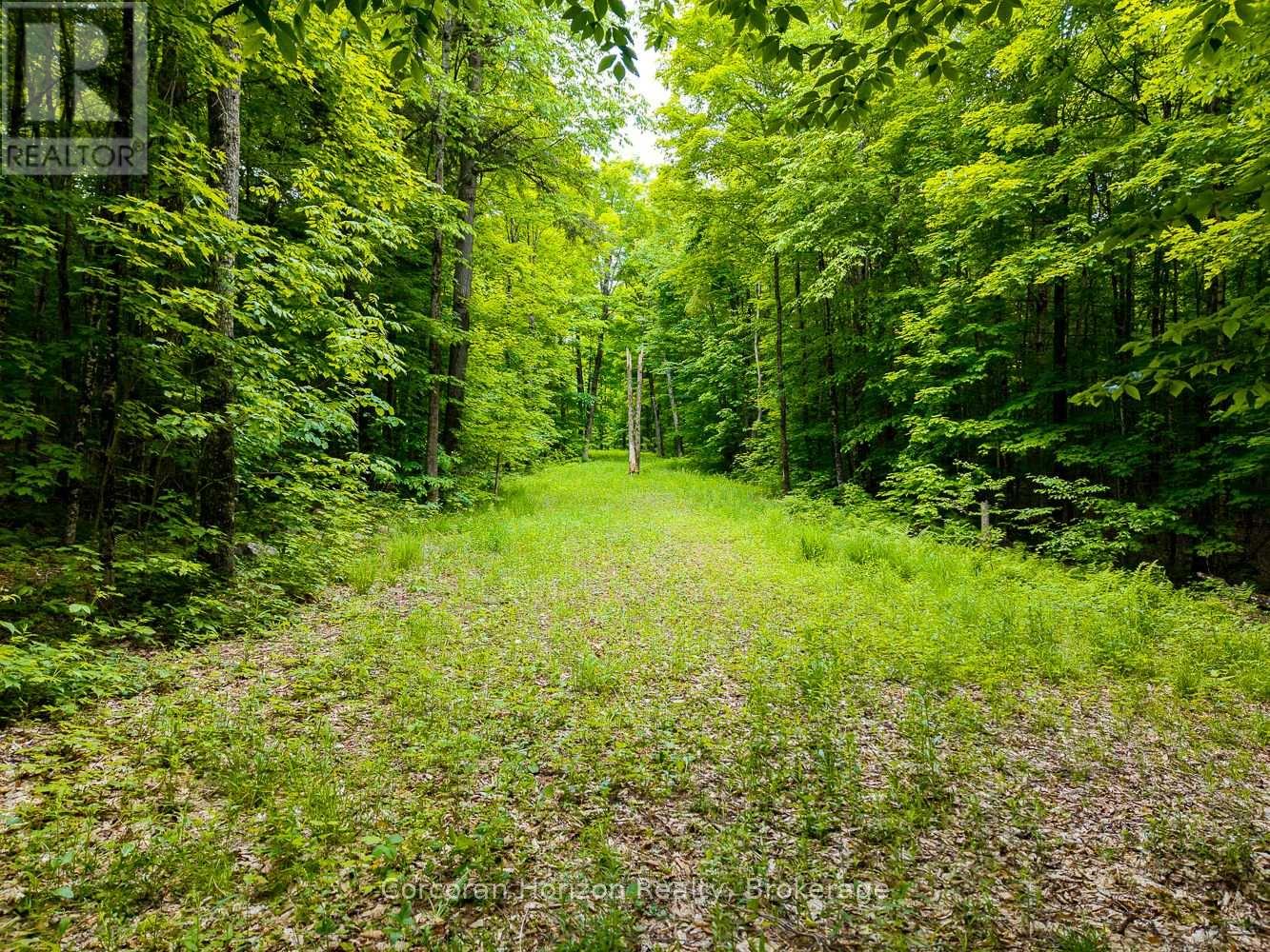 Part 4 118 Highway E, Bracebridge, Ontario  P1L 1X1 - Photo 44 - X12257540
