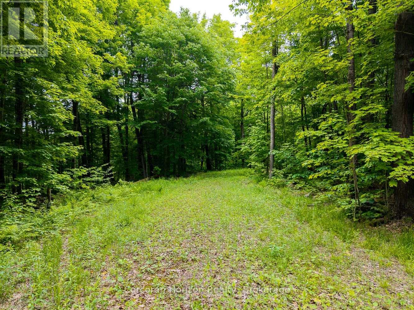 Part 4 118 Highway E, Bracebridge, Ontario  P1L 1X1 - Photo 45 - X12257540