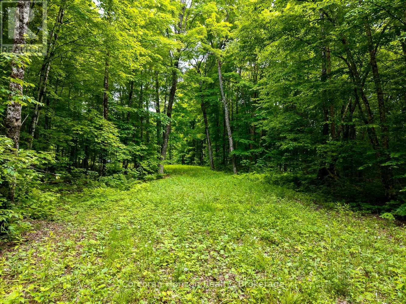Part 4 118 Highway E, Bracebridge, Ontario  P1L 1X1 - Photo 46 - X12257540