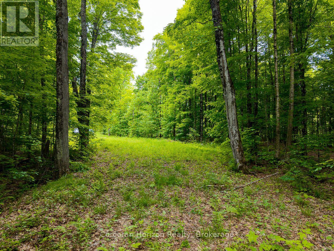 Part 4 118 Highway E, Bracebridge, Ontario  P1L 1X1 - Photo 47 - X12257540