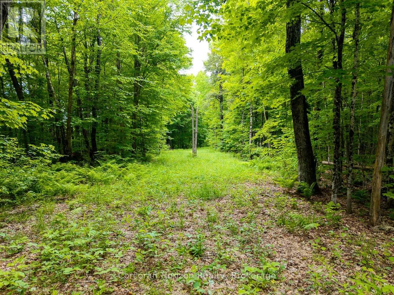 Part 4 118 Highway E, Bracebridge, Ontario  P1L 1X1 - Photo 48 - X12257540