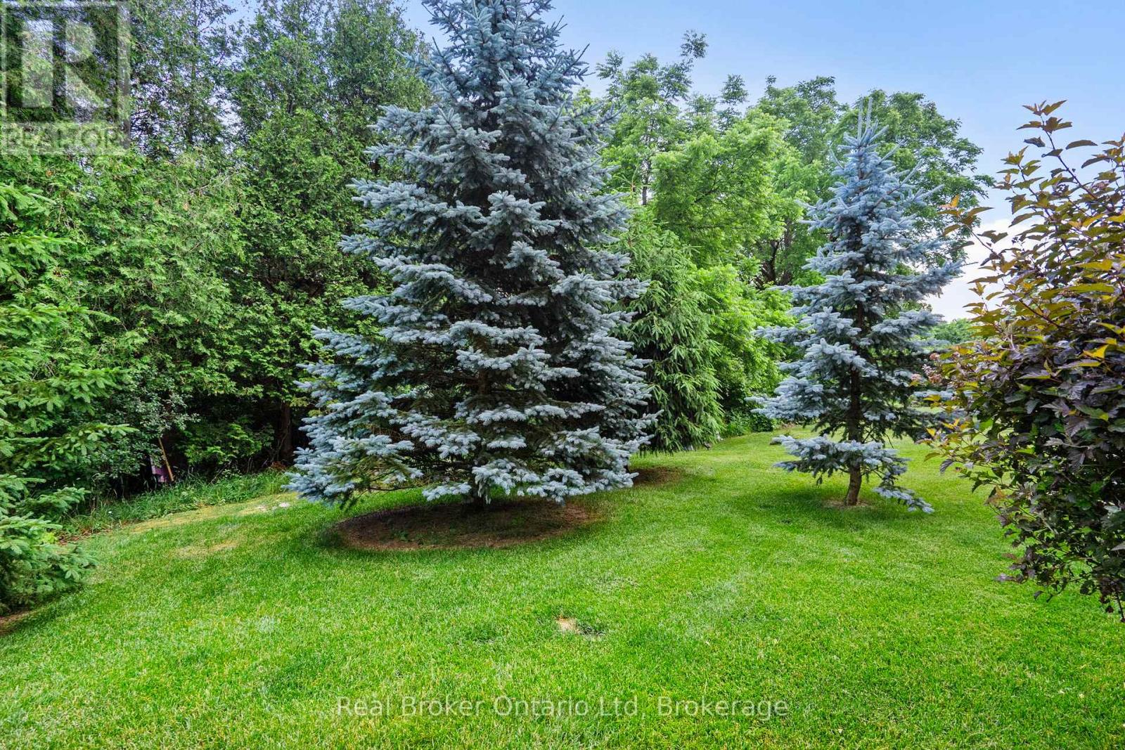 221 Millview Court, Guelph/eramosa, Ontario  N0B 2K0 - Photo 44 - X12257665