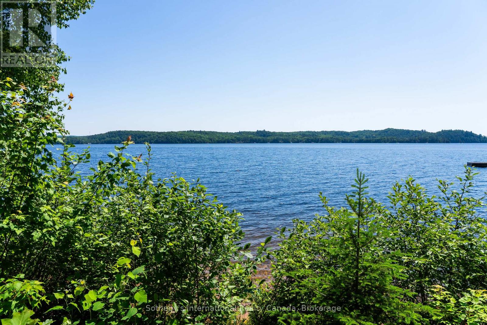 2447 South Portage Road, Lake Of Bays, Ontario  L8H 6Z4 - Photo 35 - X12257992