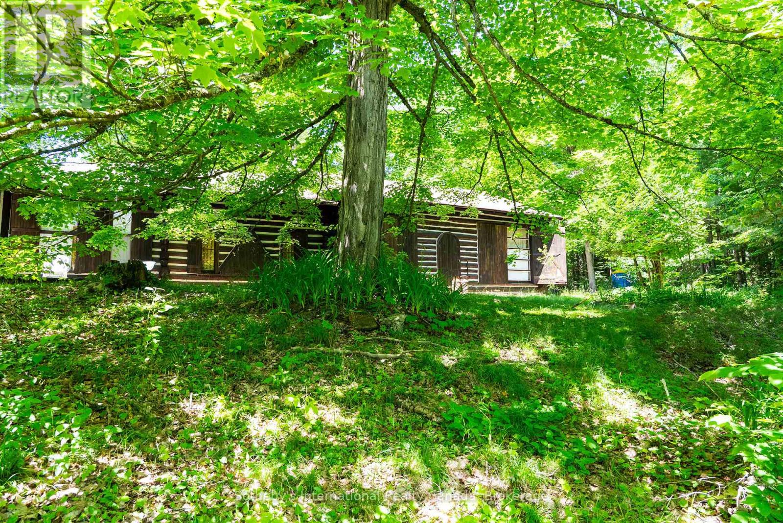 2447 South Portage Road, Lake Of Bays, Ontario  L8H 6Z4 - Photo 38 - X12257992