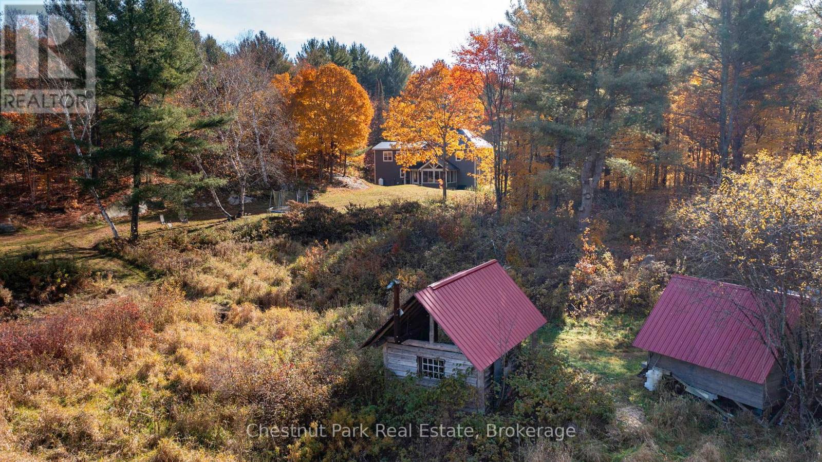 1236 Butter & Egg Road, Muskoka Lakes, Ontario  P1L 1X4 - Photo 1 - X12260460