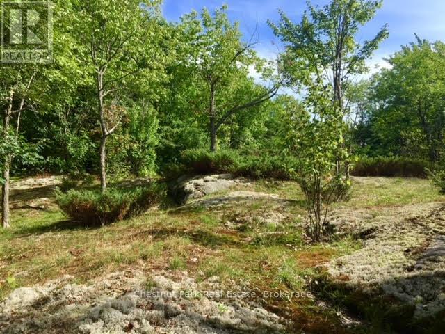 1236 Butter & Egg Road, Muskoka Lakes, Ontario  P1L 1X4 - Photo 37 - X12260460
