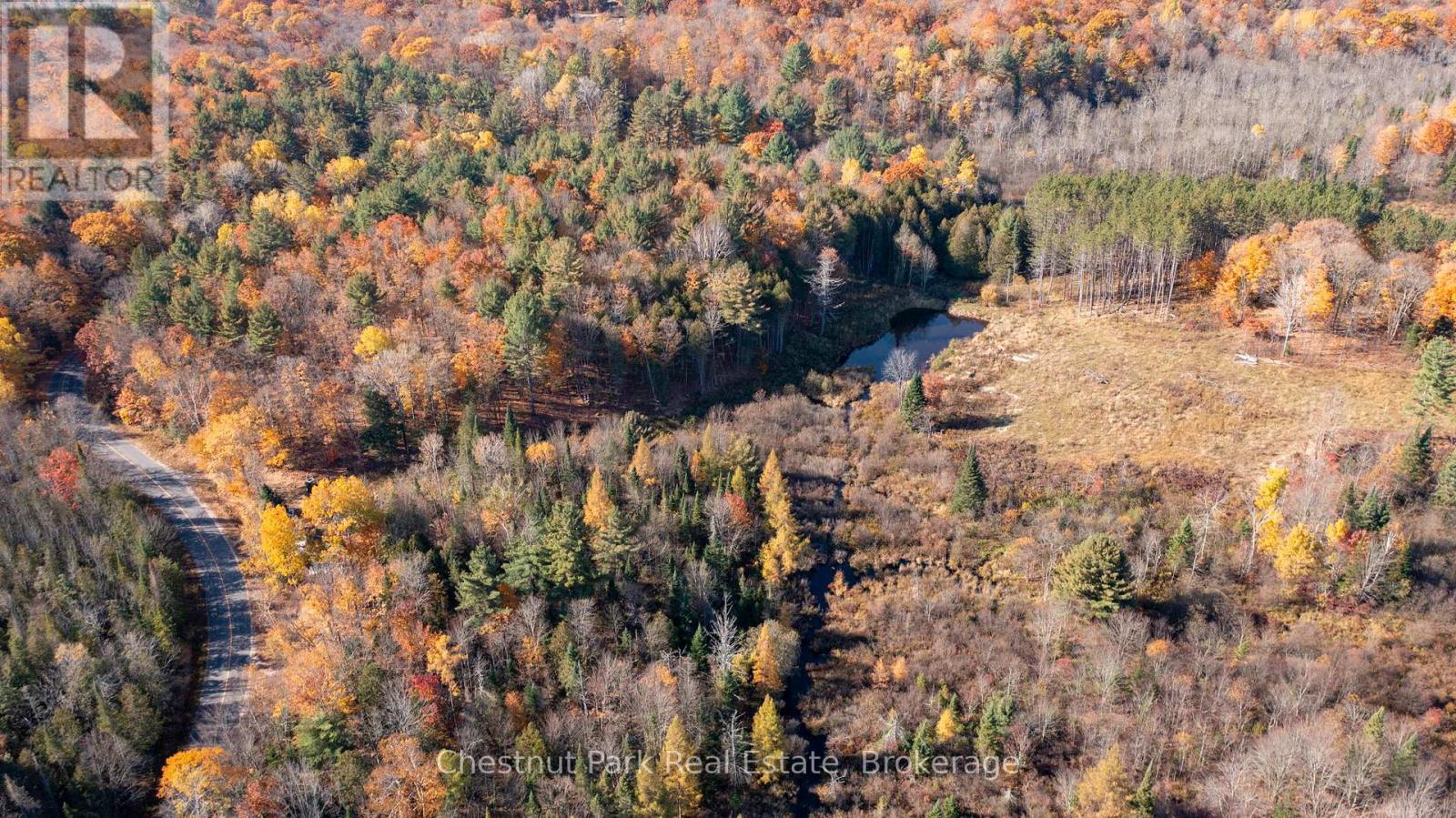 1236 Butter & Egg Road, Muskoka Lakes, Ontario  P1L 1X4 - Photo 47 - X12260460
