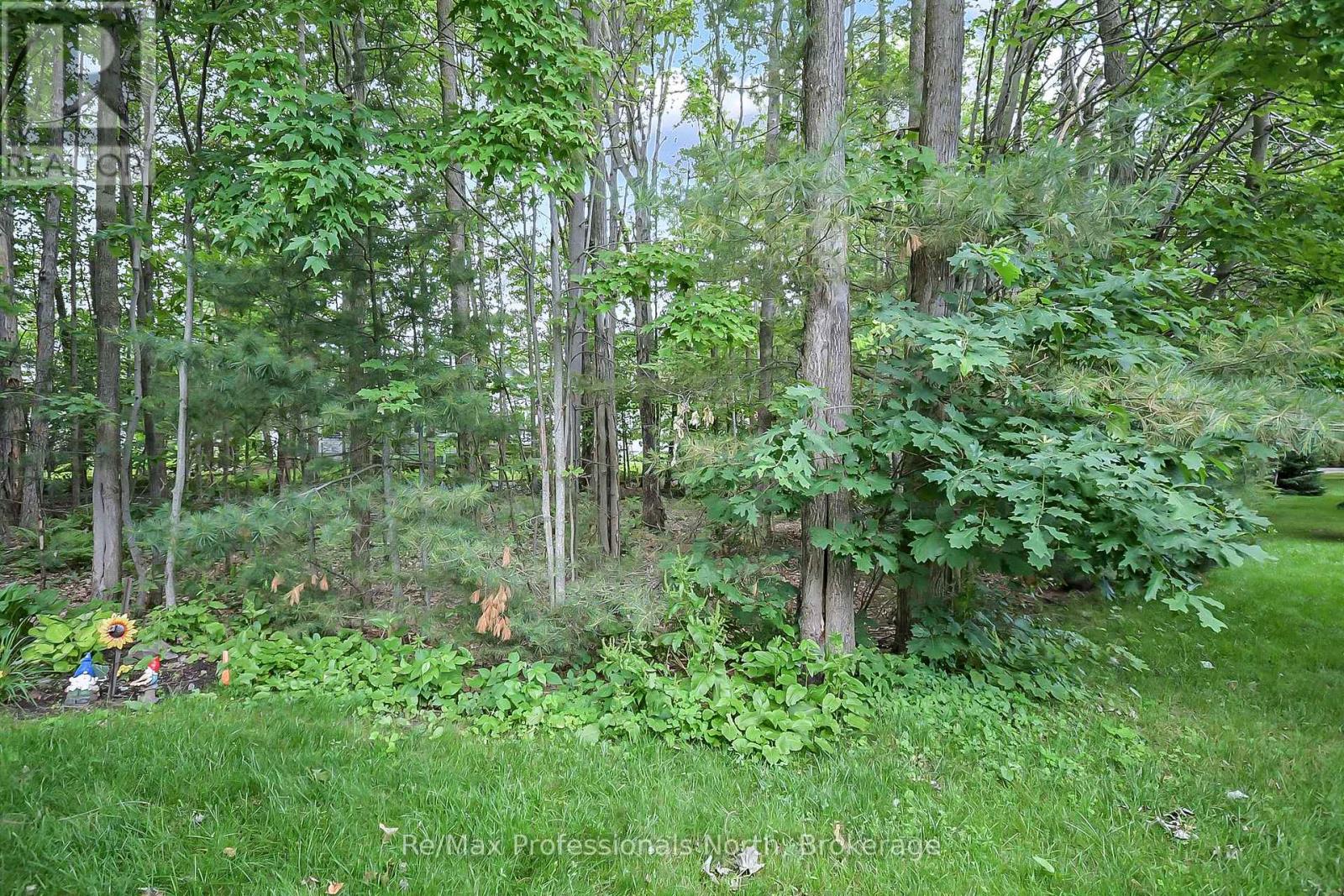 136 Hedgewood Lane, Gravenhurst, Ontario  P1P 1Z4 - Photo 14 - X12261745