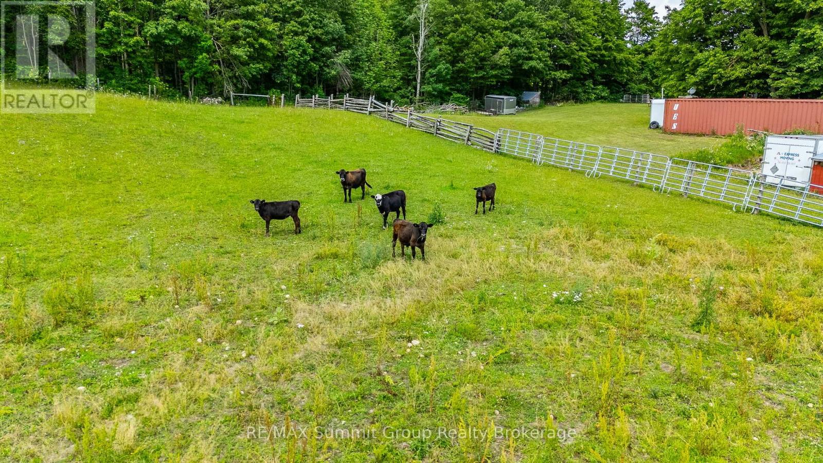 554014 Road 55, Grey Highlands, Ontario  N0C 1M0 - Photo 40 - X12263380