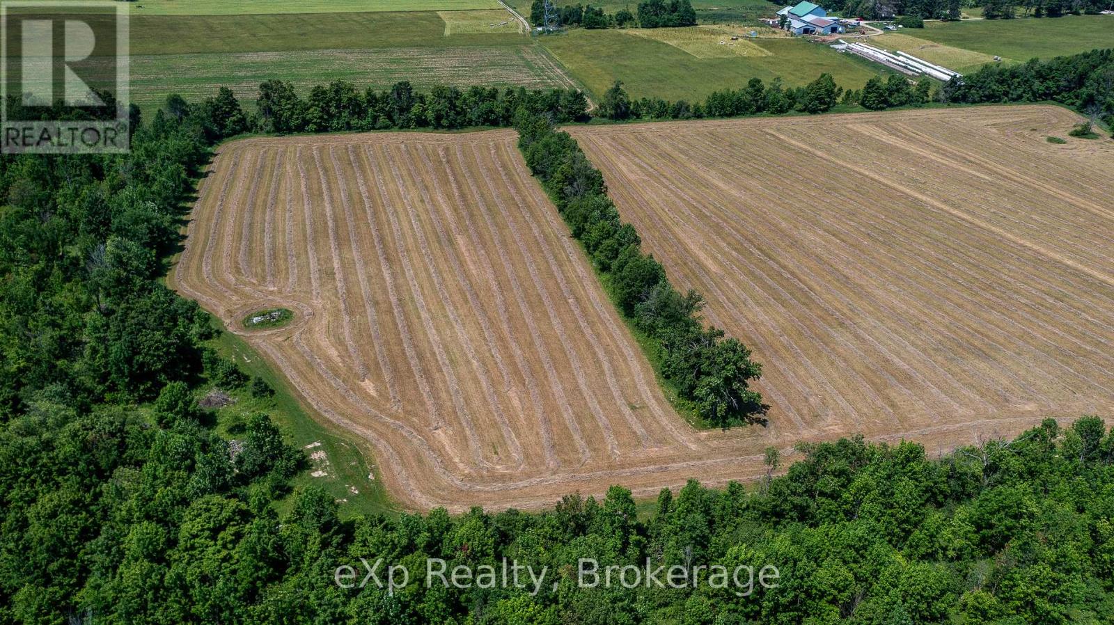 463086 Concession 24, Georgian Bluffs, Ontario  N0H 2T0 - Photo 11 - X12263553