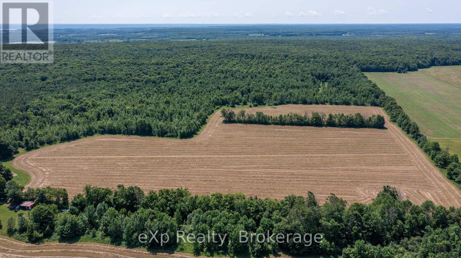 463086 Concession 24, Georgian Bluffs, Ontario  N0H 2T0 - Photo 4 - X12263553