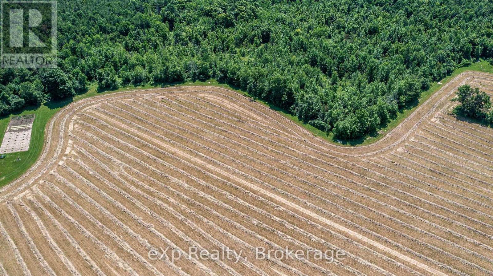 463086 Concession 24, Georgian Bluffs, Ontario  N0H 2T0 - Photo 5 - X12263553
