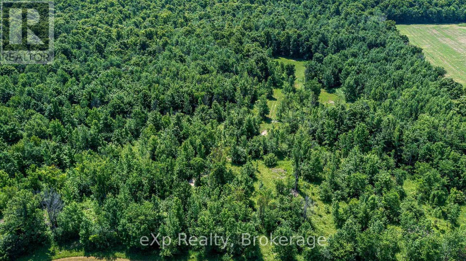 463086 Concession 24, Georgian Bluffs, Ontario  N0H 2T0 - Photo 7 - X12263553