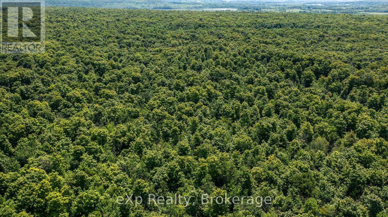 463086 Concession 24, Georgian Bluffs, Ontario  N0H 2T0 - Photo 8 - X12263553
