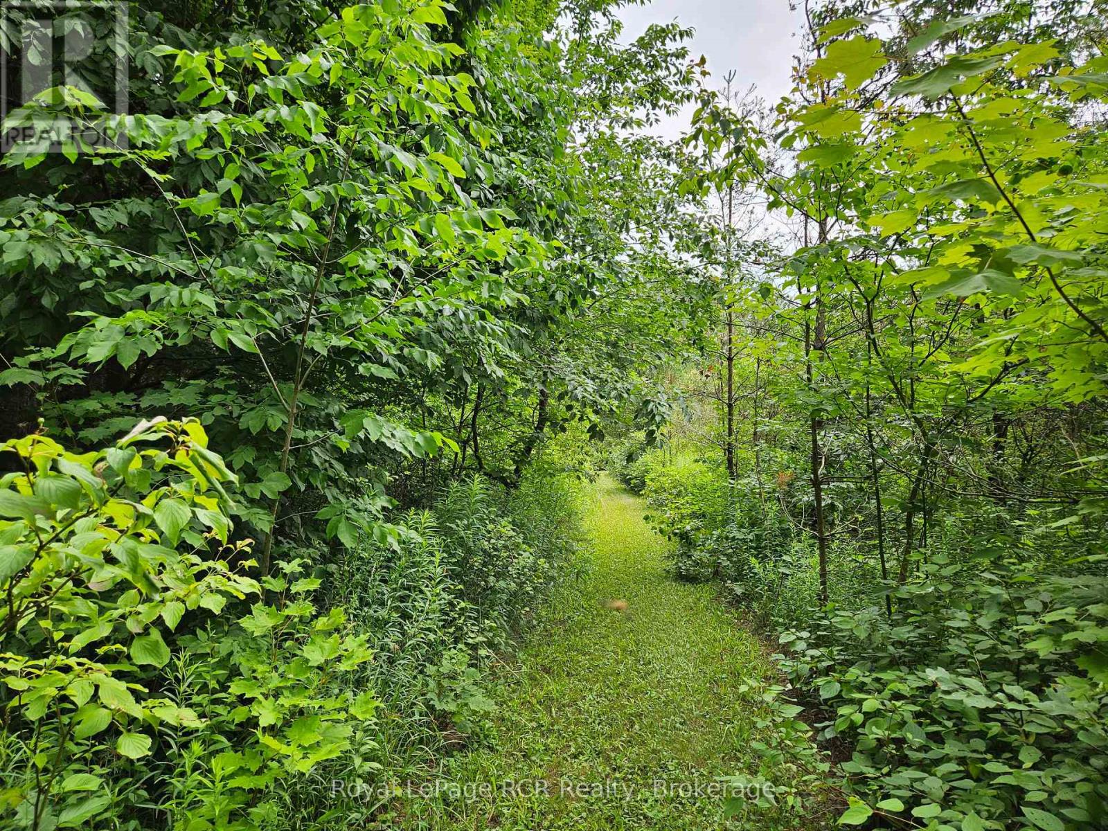 Ptl 17 Southgate 13 Side Road, Southgate, Ontario  N0C 1B0 - Photo 11 - X12263730