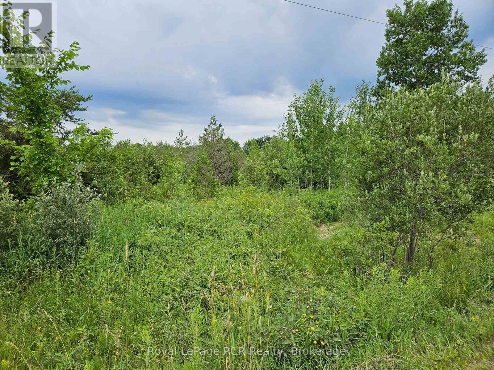 Ptl 17 Southgate 13 Side Road, Southgate, Ontario  N0C 1B0 - Photo 3 - X12263730