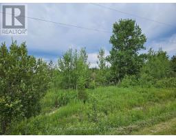 PTL 17 SOUTHGATE 13 SIDE ROAD, Southgate, Ontario