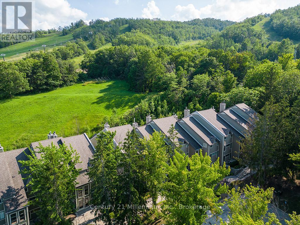121 - 796404 Grey Road 19, Blue Mountains, Ontario  L9Y 0N8 - Photo 33 - X12263738