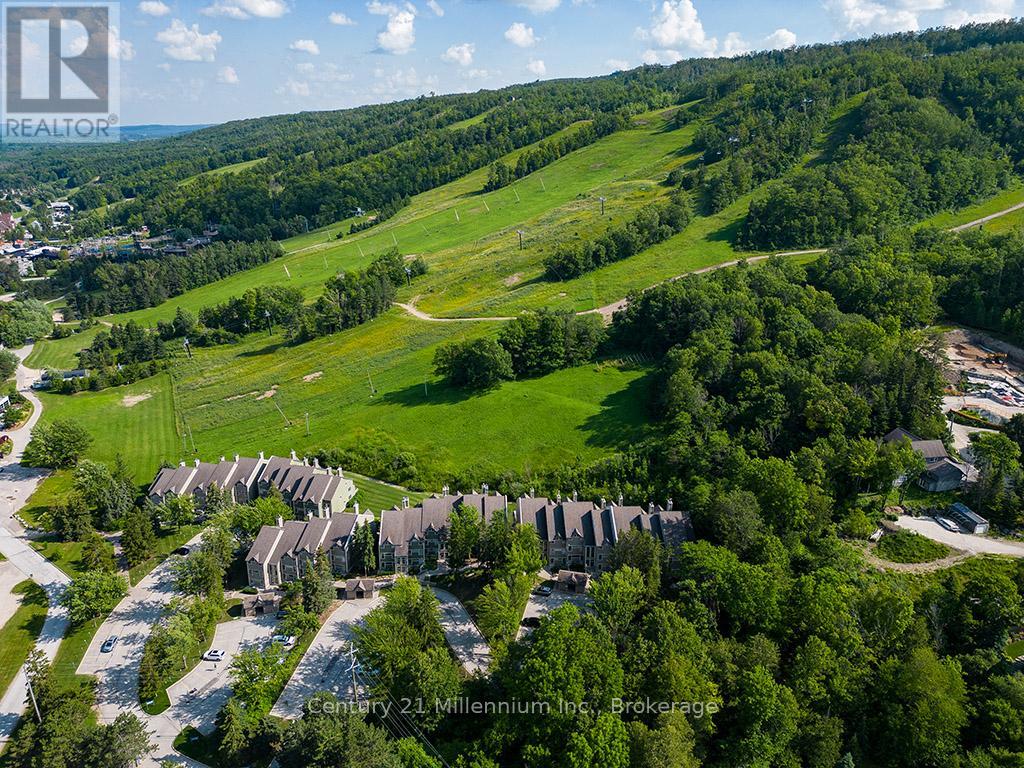 121 - 796404 Grey Road 19, Blue Mountains, Ontario  L9Y 0N8 - Photo 35 - X12263738
