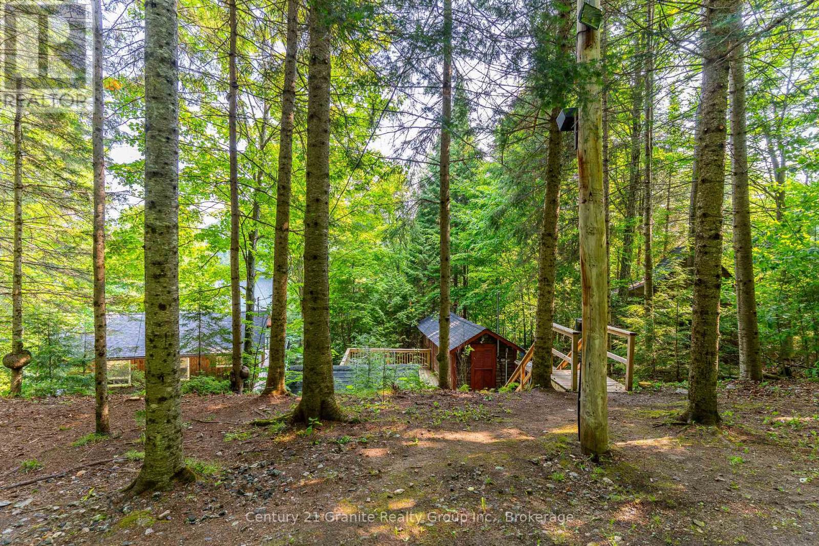 1225 Rowbotham Lane, Highlands East, Ontario  K0L 2Y0 - Photo 2 - X12263876