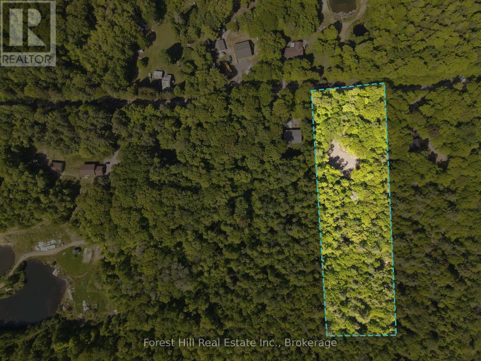 1066 South Muldrew Lake Road, Gravenhurst, Ontario  P0E 1G0 - Photo 2 - X12264034