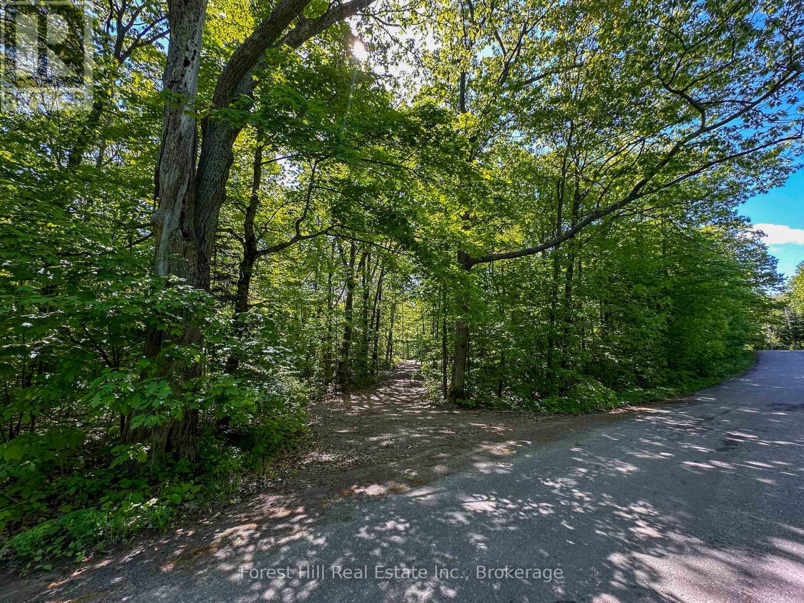 1066 South Muldrew Lake Road, Gravenhurst, Ontario  P0E 1G0 - Photo 3 - X12264034